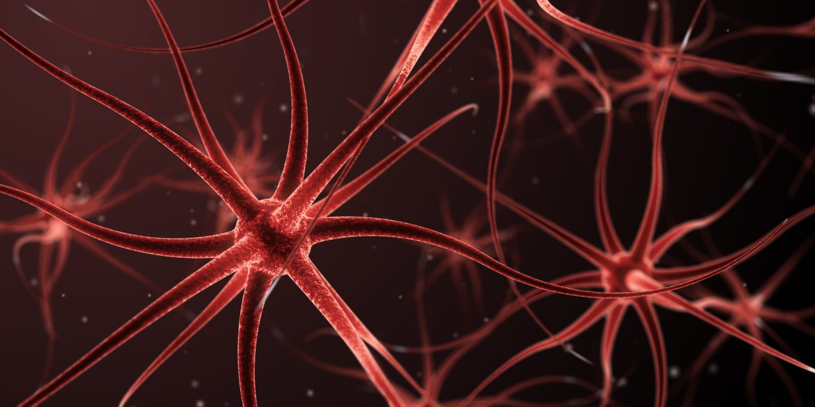 what is neurofeedback